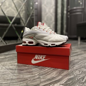 Кроссовки Nike Air Max TN Plus White Grey