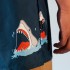 Плавательные шорты South Summer Shark